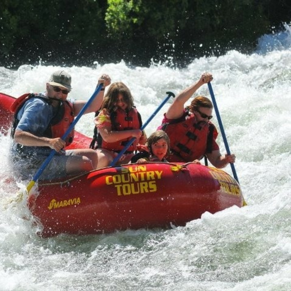 Meet your Posher, Jeannie